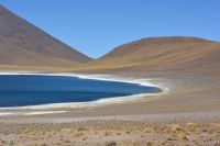Chile und Osterinsel - Atacama-Wüste - Lagune Meniques (2)