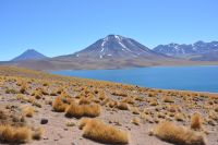 Chile und Osterinsel - Atacama-Wüste - Lagune Miscanti (1)