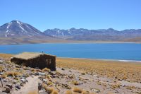 Chile und Osterinsel - Atacama-Wüste - Lagune Miscanti (2)