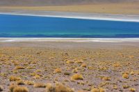 Chile und Osterinsel - Atacama-Wüste - Lagune Miscanti (4)
