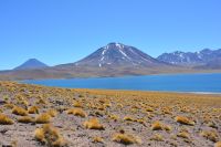 Chile und Osterinsel - Atacama-Wüste - Lagune Miscanti (5)