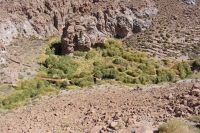 Chile unter Osterinsel -  Termas Puritama (1)