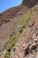 Chile unter Osterinsel -  Termas Puritama (2)