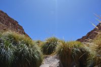 Chile unter Osterinsel -  Termas Puritama (3)