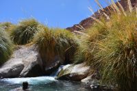 Chile unter Osterinsel -  Termas Puritama (5)