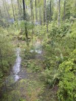 Chile und Osterinsel -  (22)