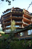 Chile und Osterinsel -  Huilo Huilo - Hotel Nothofagus (1)