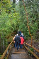 Chile und Osterinsel -  Ojos del Caburga (1)