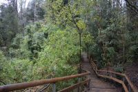 Chile und Osterinsel -  Ojos del Caburga