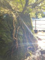 Chile und Osterinsel -  Salto Huilo Huilo (3)