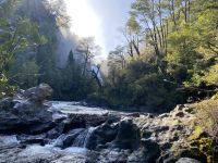 Chile und Osterinsel -  Salto Huilo Huilo (4)