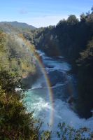 Chile und Osterinsel -  Salto Huilo Huilo (13)