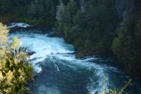 Chile und Osterinsel -  Salto Huilo Huilo (15)