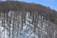 Chile und Osterinsel - Grenzübergang nach Chile (4)