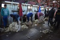 Chile und Osterinsel -  Cerro Castillo - Schafschur (4)