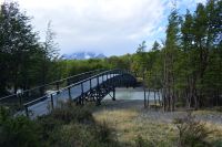 Chile und Osterinsel -  Torres del Paine - Lago Grey (2)