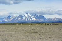 Chile und Osterinsel -  Torres del Paine (1)