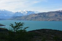 Chile und Osterinsel -  Torres del Paine (22)