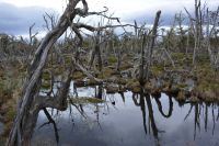 Chile und Osterinsel -  (5)