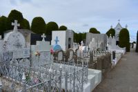 Chile und Osterinsel - Punta Arenas - Friedhof (2)