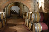 Chile und Osterinsel - Colchagua Tal - Weingut Casa Silva (9)