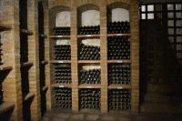 Chile und Osterinsel - Colchagua Tal - Weingut Casa Silva (13)