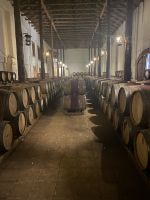 Chile und Osterinsel - Colchagua Tal - Weingut Casa Silva (17)