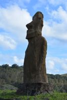 Chile und Osterinsel - Moai (1)