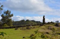 Chile und Osterinsel - Moai (3)