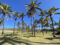 Chile und Osterinsel - Anakena (8)