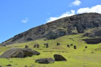 Chile und Osterinsel - Rano Raraku - Steinbruch der Moai (17)
