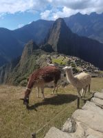 Machu Picchu Peru Südamerika @ Anette Rietz EHT