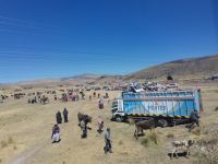 Viehmarkt in den Anden Peru Richtung Bolivien @ Anette Rietz EHT