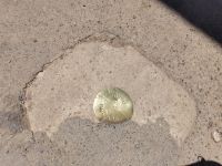 Grenze mit Stein Peru Bolivien Südamerika @ Anette Rietz EHT