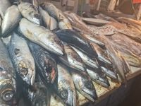 Markthalle Santiago de Chile @ Anette Rietz EHT