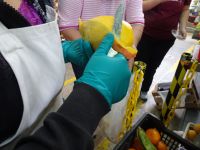 Peru - Lima - Markt - Mango