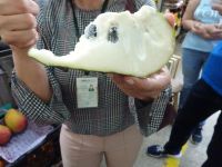 Peru- Lima - Markt  - Cherimoya