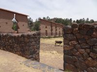 Peru - Raqchi