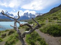 Chile - Torres del Paine