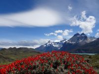 Chile - Torres del Paine
