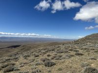 Argentinien - Steppe