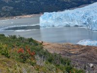Argentinien - Perito Moreno Gletscher