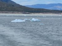 Argentinien - Ausflug Estancia Cristina 