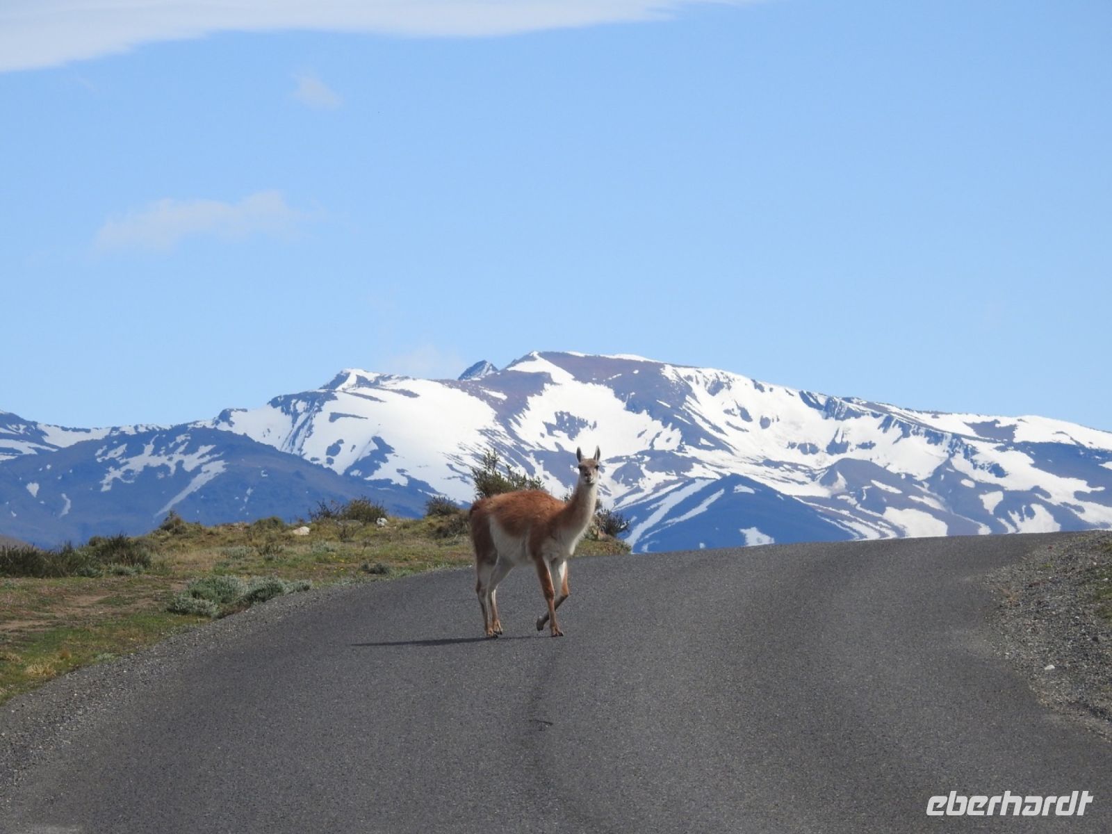 Chile - Torres del Paine