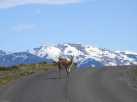 Chile - Torres del Paine