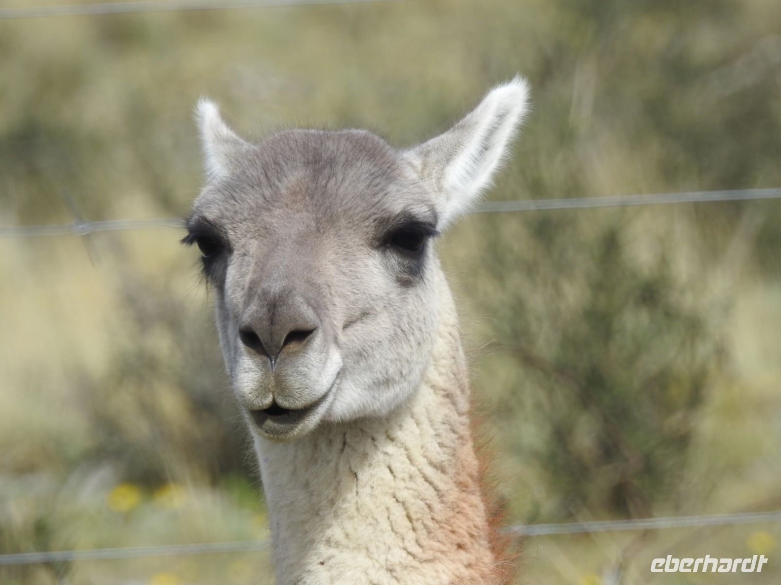 Chile - Torres del Paine