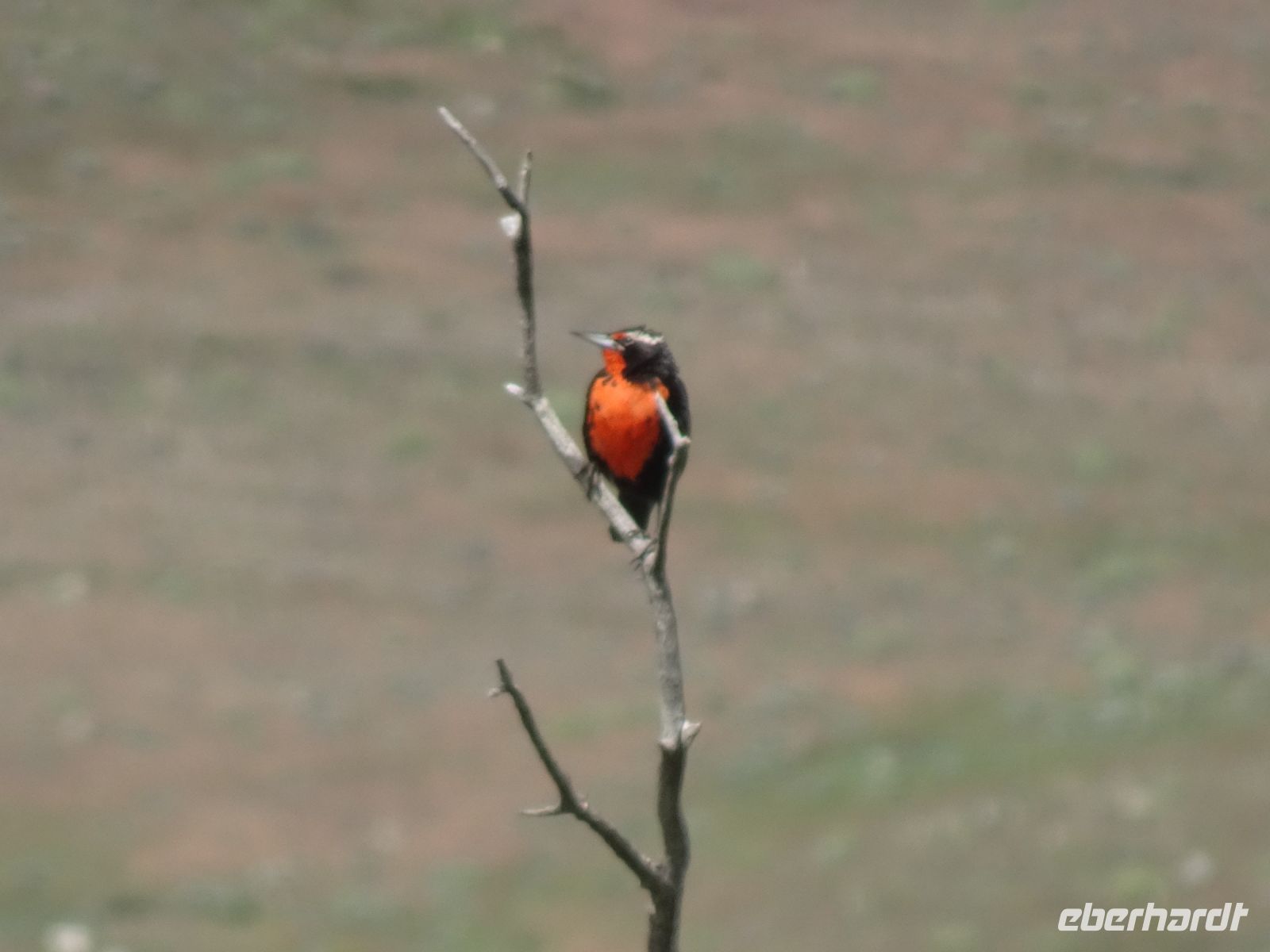 Chile - Torres del Paine