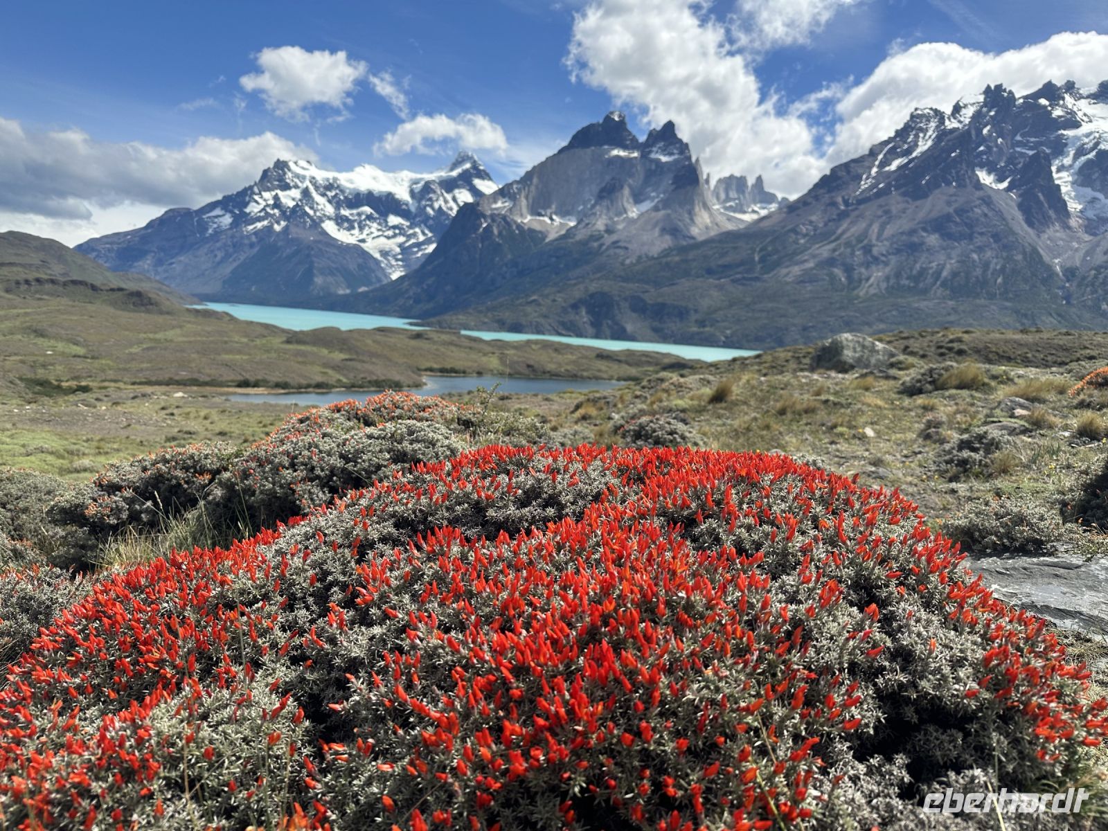 Chile - Torres del Paine