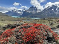 Chile - Torres del Paine