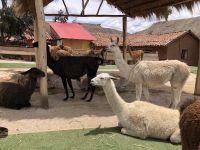 Manos de la Comunidad